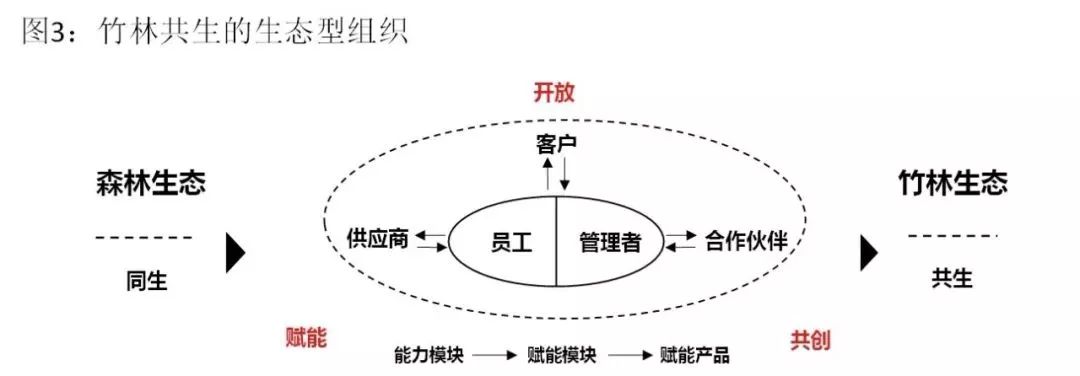 京東和聯(lián)合利華玩起“人才互換培養(yǎng)”，這是如何運(yùn)行的？