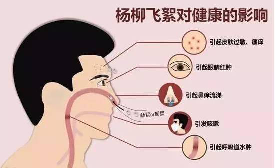 柳絮過敏讓你鼻子發(fā)癢，空氣堡新風(fēng)系統(tǒng)讓你舒爽