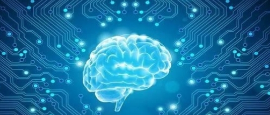 商業(yè)管理的“腦波 KPI”困局：當神經監(jiān)測設備成為董事會標配
